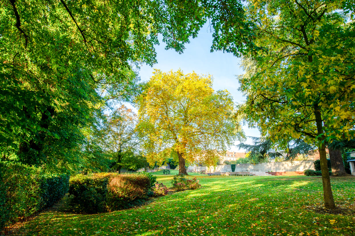 Verneuil la douce hotel